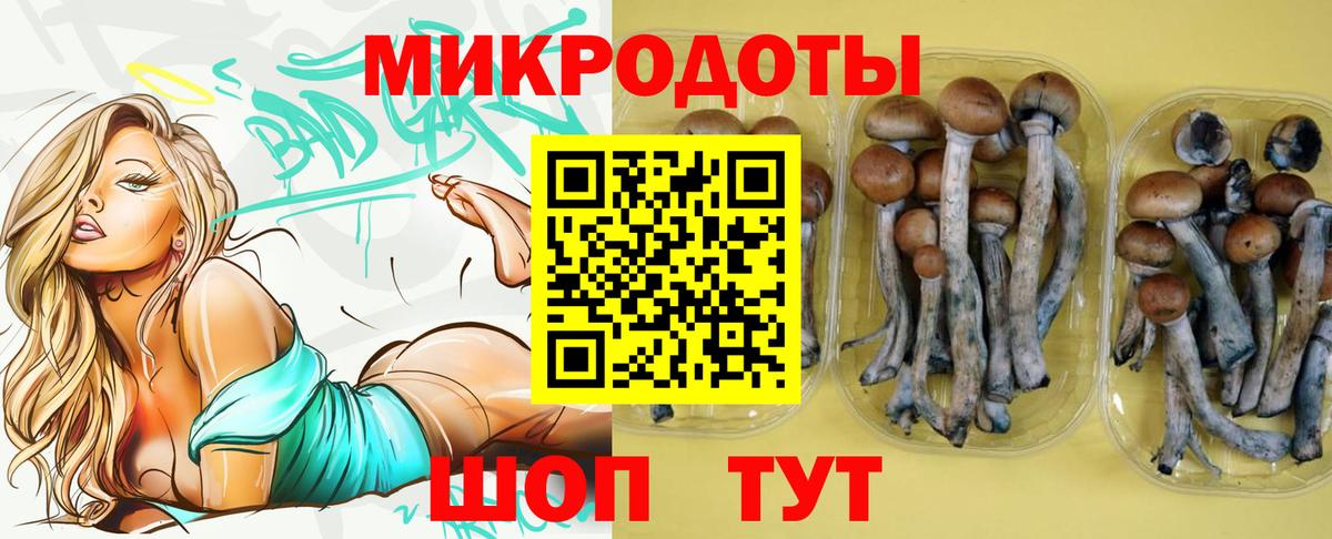 цена наркотик  Псилоцибиновые грибы Psilocybe  Псилоцибиновые грибы Cubensis  Вход с VPN  Рубцовск 